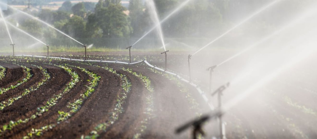 Grizzly Grip Irrigation