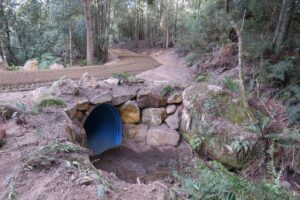 Forestry Bridge Replacement 3 1